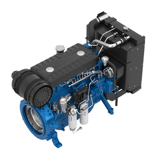 دیزل ژنراتور بادوین 165 کاوا مدل 6M11G165/5